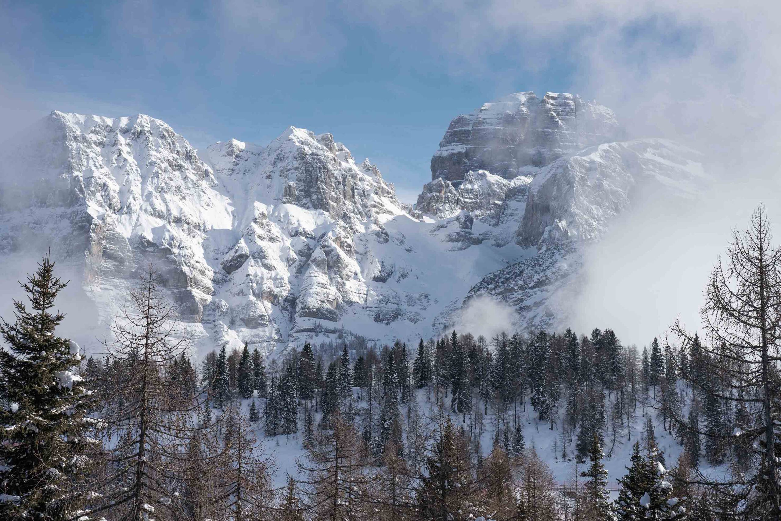 a view of Presanella